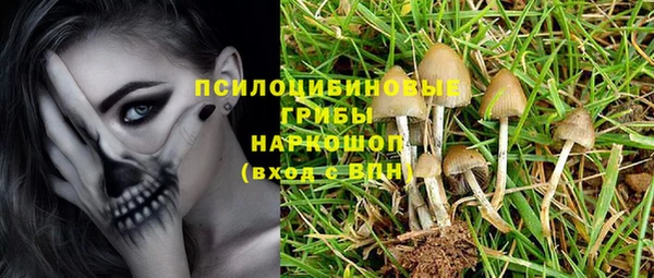 мдпв Медвежьегорск