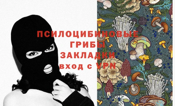 тгк Магас