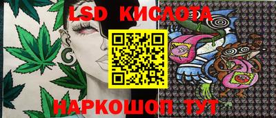 скорость Бийск