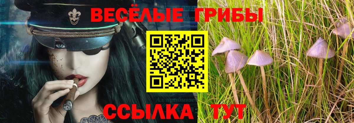 Галлюциногенные грибы мицелий  Галлюциногенные грибы Magic Shrooms  Вход с VPN  Новокубанск 