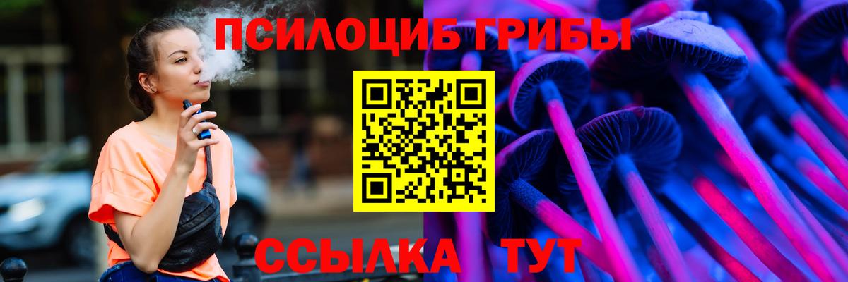 Псилоцибиновые грибы Psilocybine cubensis Новокубанск